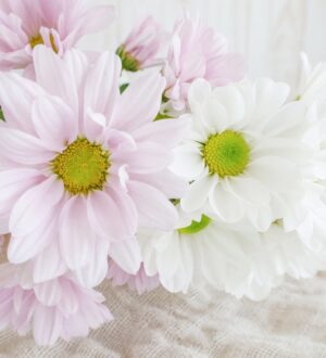 福祉葬とは？生活保護の「葬祭扶助」で行うお葬式をやさしく解説｜小さな自宅葬・家族で「つくる」お葬式 おくり火