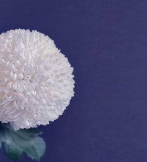 喪主の通夜挨拶｜短く伝わる例文・話す順番・マナー（岸和田市・泉州エリア対応）｜小さな自宅葬・家族で「つくる」お葬式 おくり火