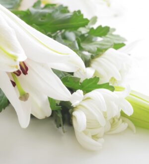 逆さごと（逆さ事）とは？意味・代表的な作法・地域差をやさしく解説｜小さな自宅葬・家族で「つくる」お葬式 おくり火