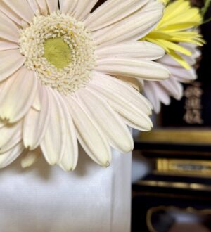 遺骨とは？供養の意味と正しい扱い方をやさしく解説｜小さな自宅葬・家族で「つくる」お葬式 おくり火