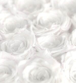 葬儀社の選び方｜後悔しないための7つの基準とチェックリスト（泉州・岸和田版）｜小さな自宅葬・家族で「つくる」お葬式 おくり火