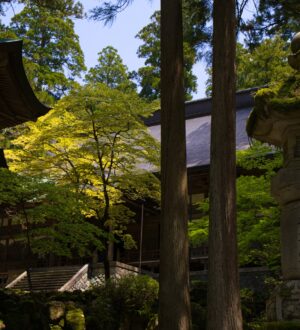 曹洞宗とは？日々の暮らしに寄り添う禅の教え｜おくり火コラム