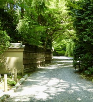 臨済宗とは？心を磨く禅の教え｜おくり火コラム