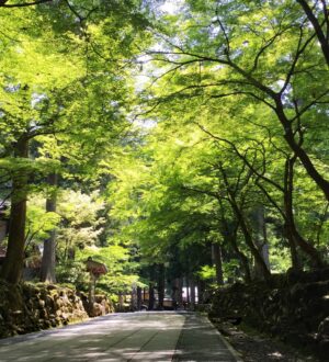 禅宗とは？葬儀の特徴と作法をやさしく解説｜小さな自宅葬・家族で「つくる」お葬式 おくり火