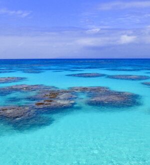 散骨とは？法律・マナー・費用感・泉州の注意点をやさしく解説｜小さな自宅葬・家族で「つくる」お葬式 おくり火