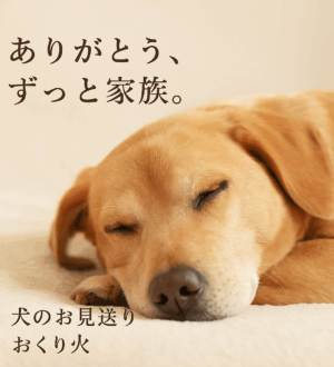 犬を飼っている方へ｜大切な家族とのお別れを穏やかに迎えるために｜小さな自宅葬・家族で「つくる」お葬式 おくり火